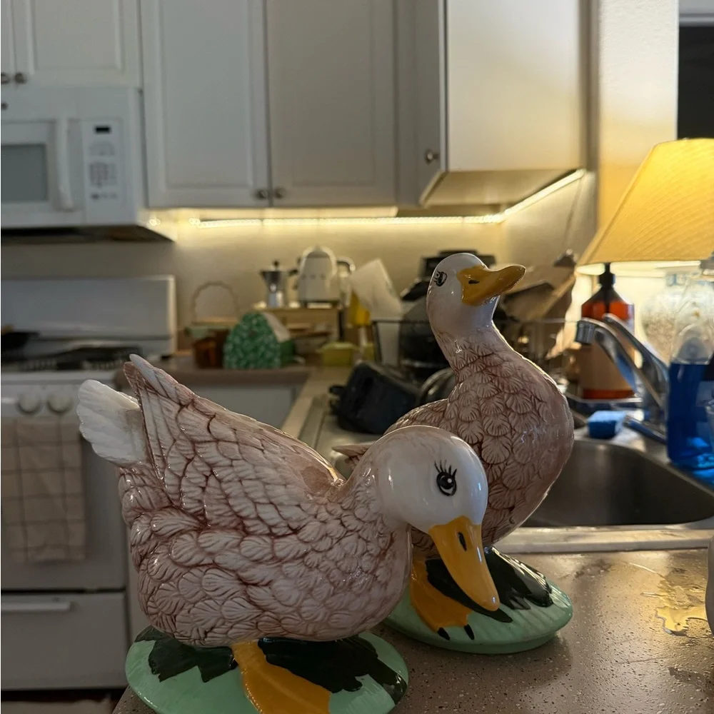 Cute 2 cottagecore Ceramic Duck Figurines